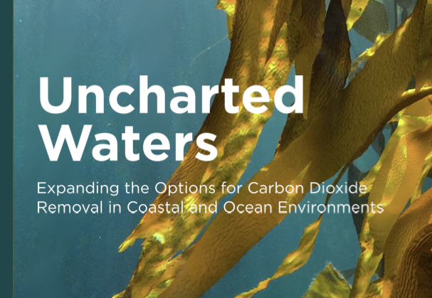 Cover Image of Uncharted Waters report