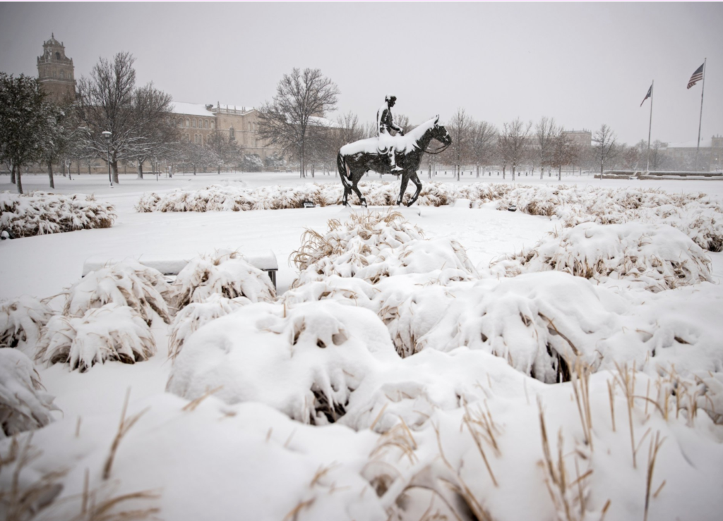 EFI statement on Texas energy debacle on winter storm