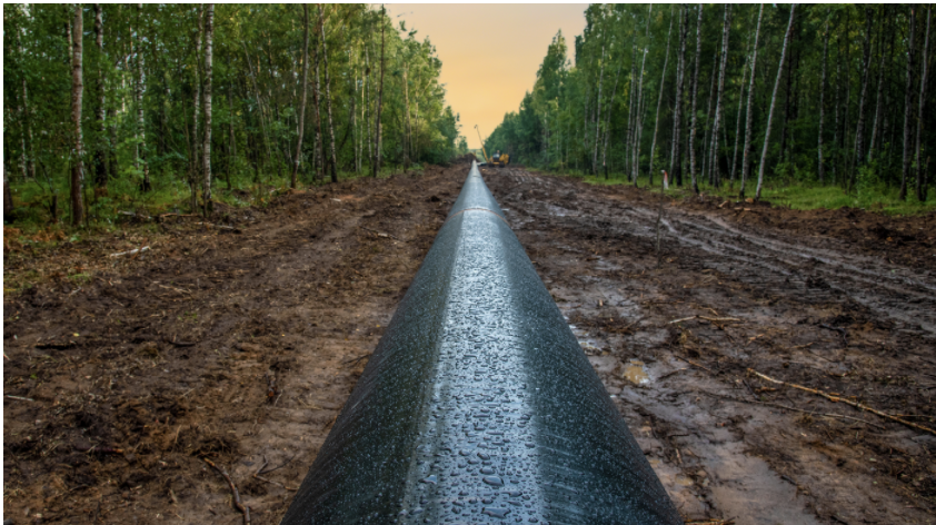 New EFI study on the role of natural gas in a decarbonized world