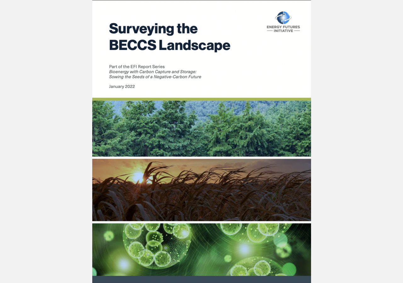 Report Cover image of Surveying the BECCS Landscape - Executive Summary