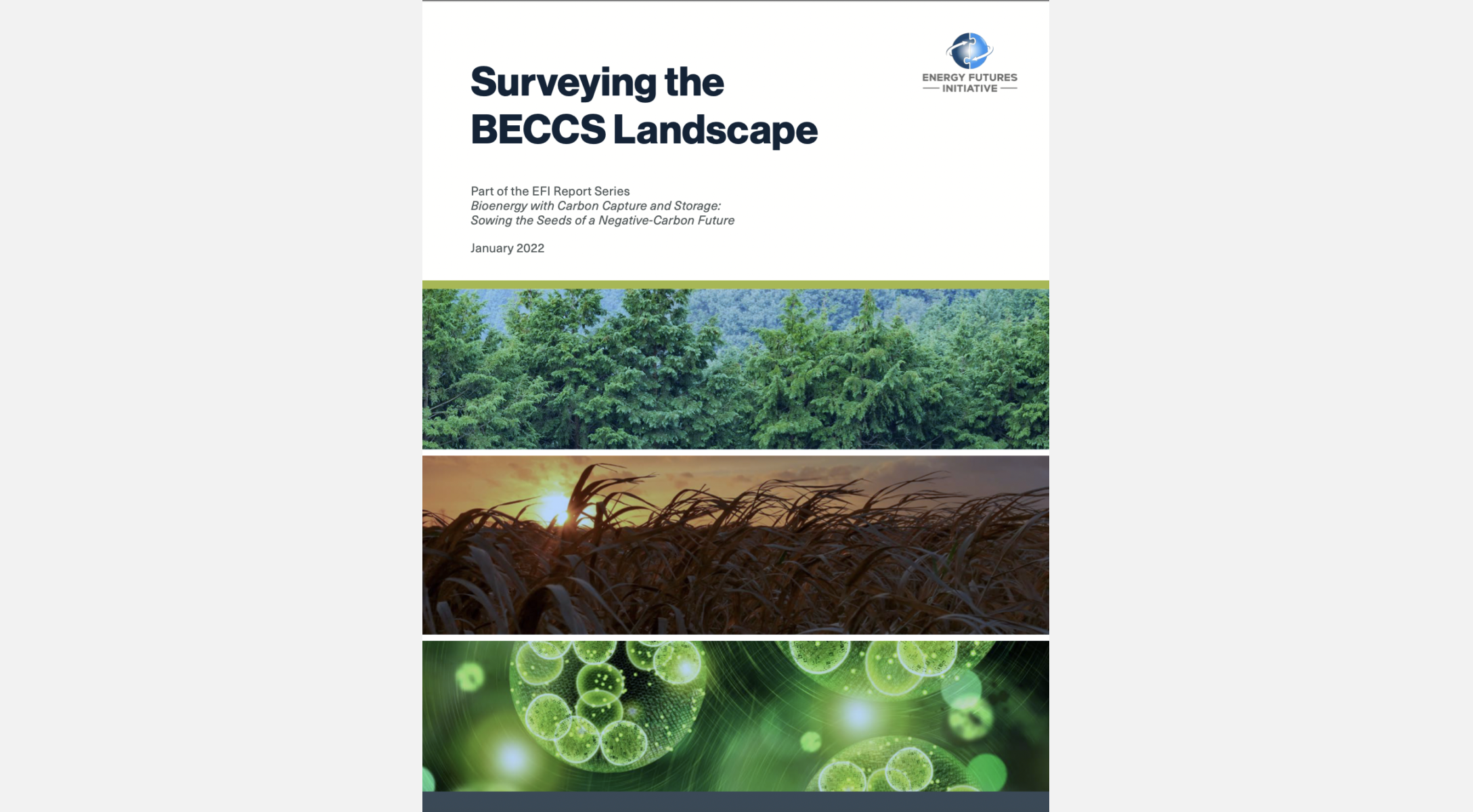 Report Cover image of Surveying the BECCS Landscape - Executive Summary