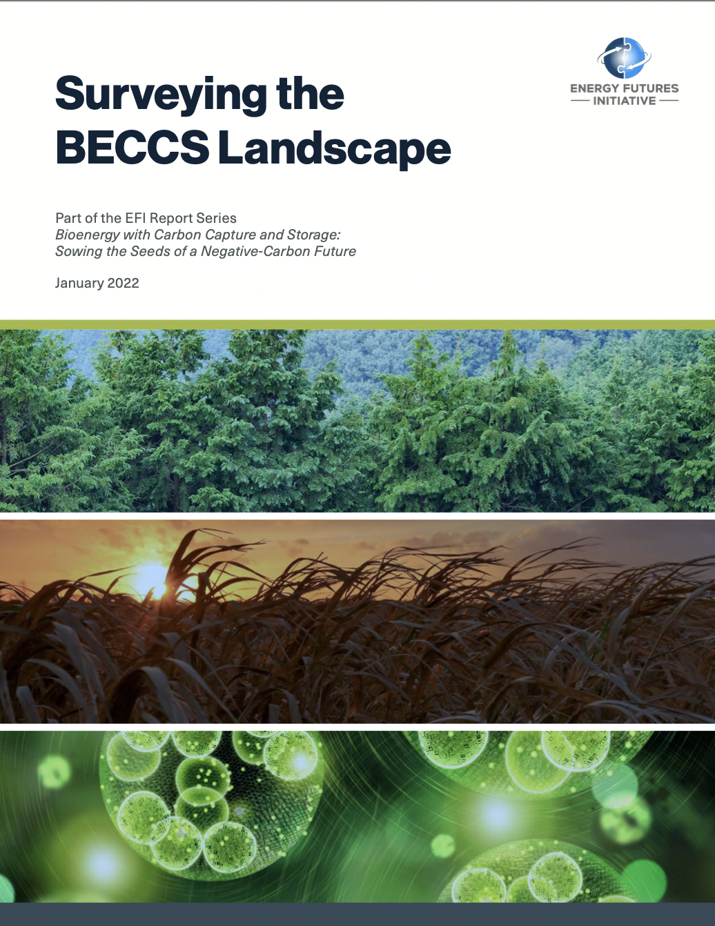 Cover of Surveying the BECCS Landscape with a photo of trees, an agricultural field, and green cells.