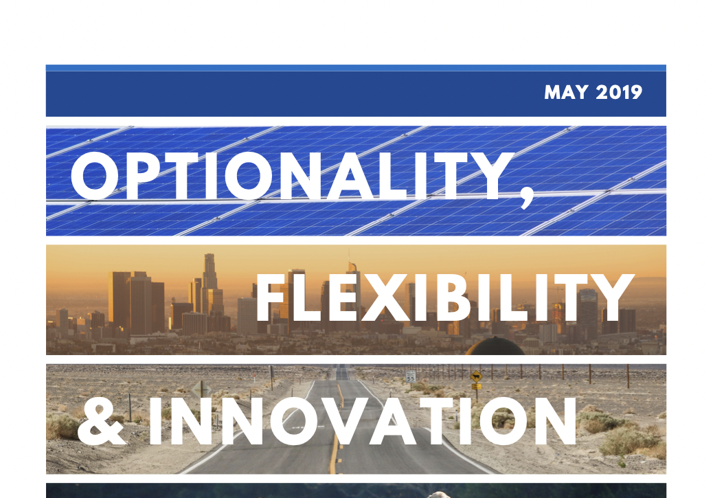 Cover Image of Optionality, Flexibility and Innovation report