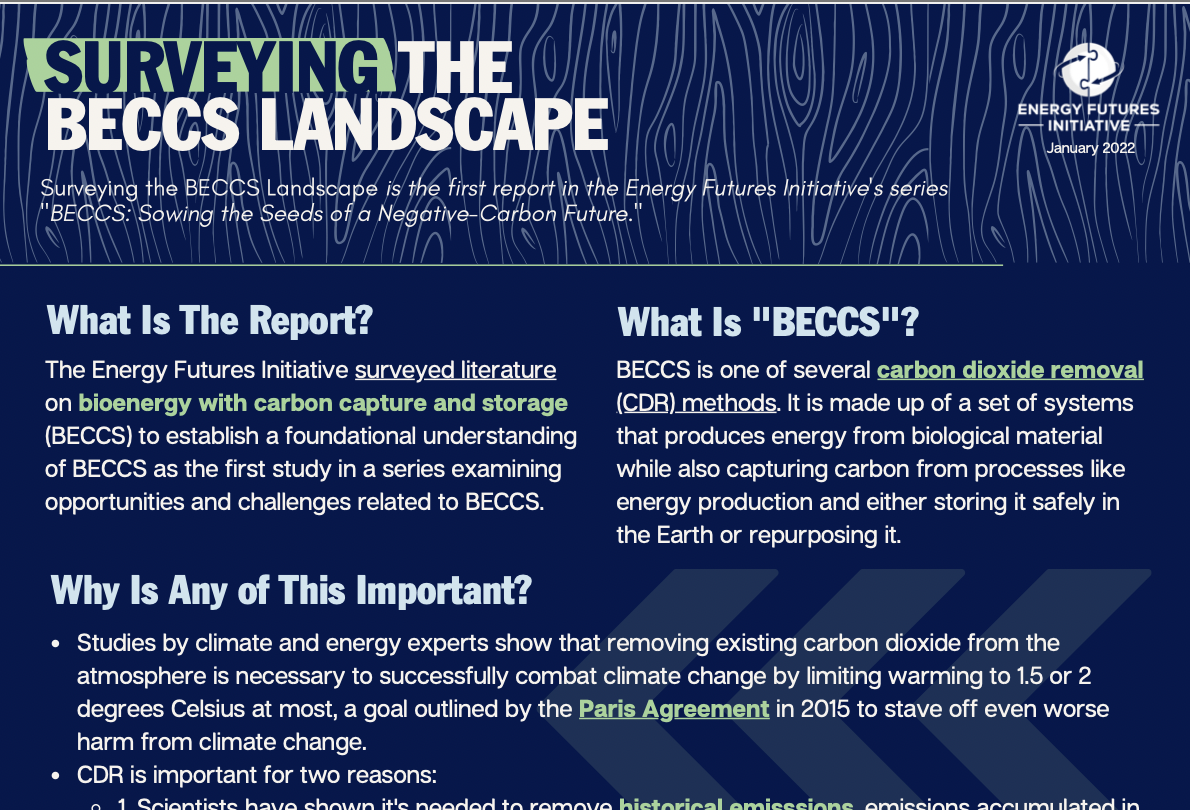 Cropped image of Surveying the BECCS Landscape Factsheet