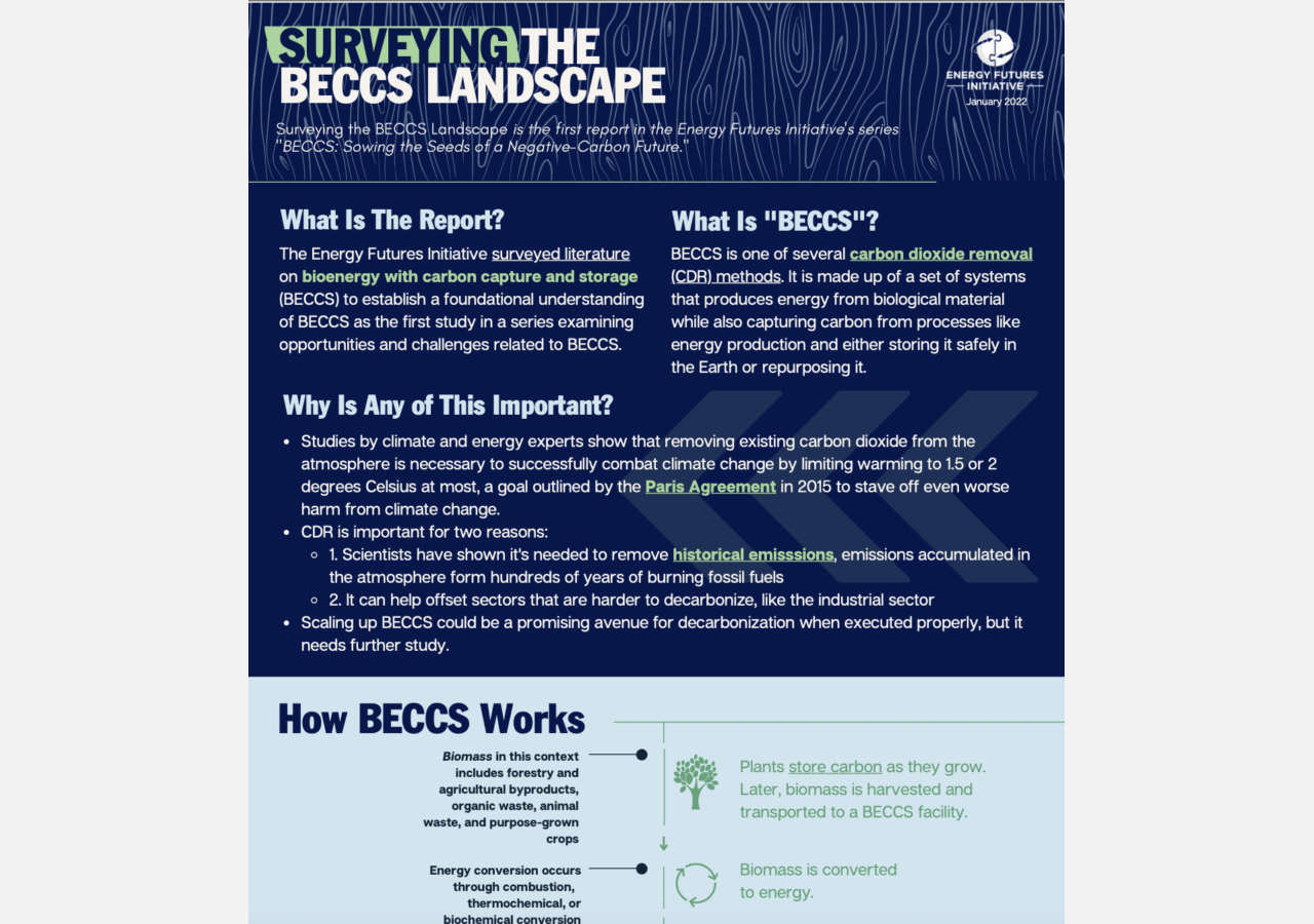 Cover Image of Surveying the BECCS Landscape Factsheet