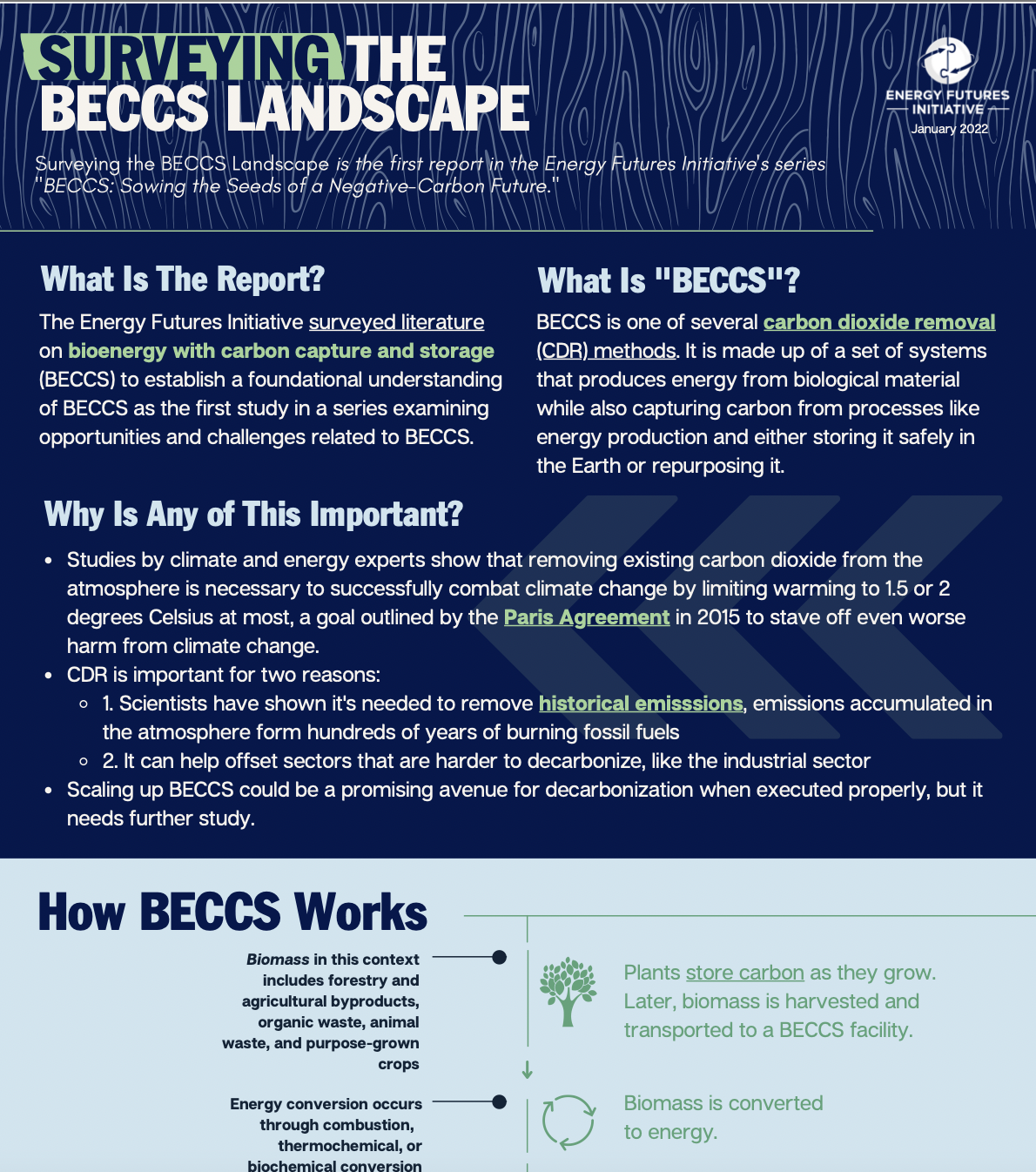 Cover Image of Surveying the BECCS Landscape Factsheet