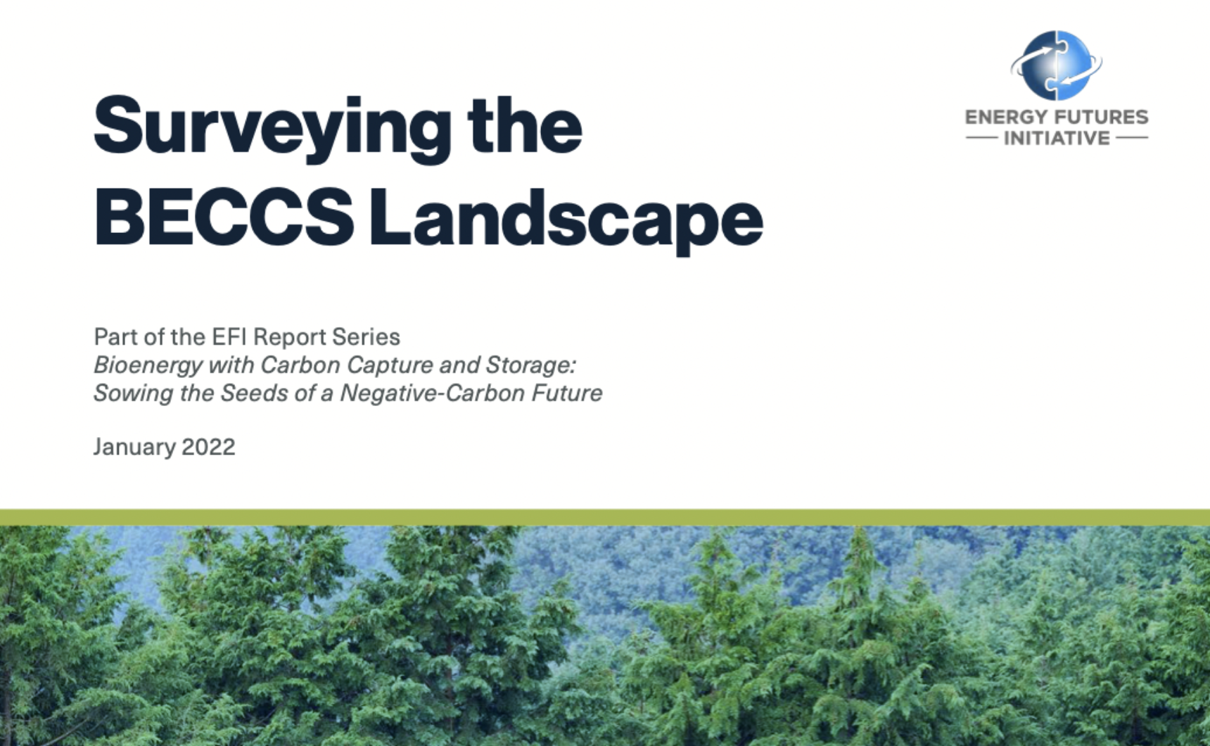 Cover of Surveying the BECCS Landscape report