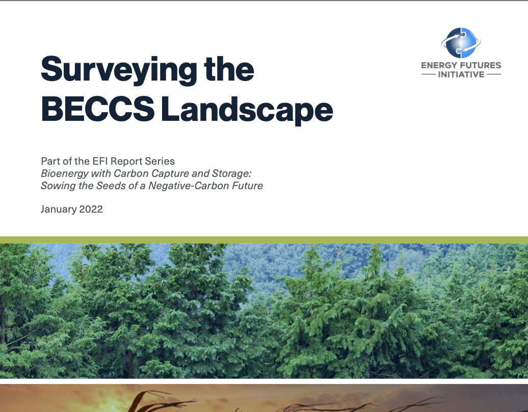 Cover of Surveying the BECCS Landscape report
