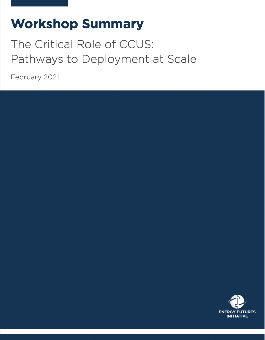 Cover of The Critical Role of CCUS Workshop Summary report