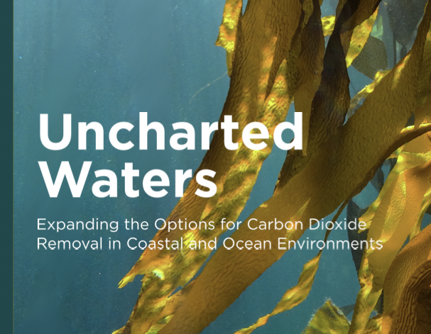 Cropped Image of Uncharted Waters report cover.