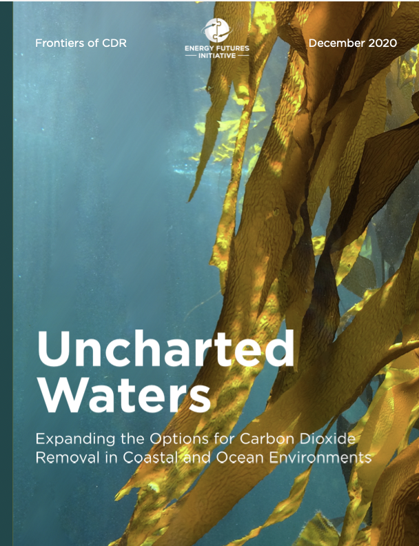 Cover of Uncharted Waters report.
