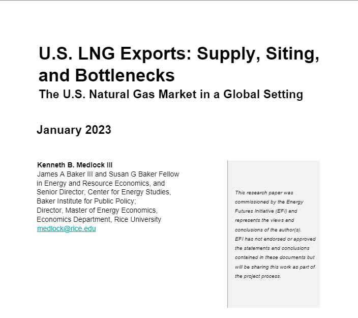 U.S. LNG Exports: Supply, Siting and Bottlenecks, The U.S. Natural Gas Market in a Global Setting