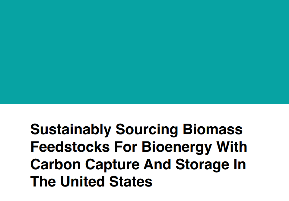 Sustainably Sourcing Biomass Feedstocks for Bioenergy with Carbon Capture and Storage in the United States