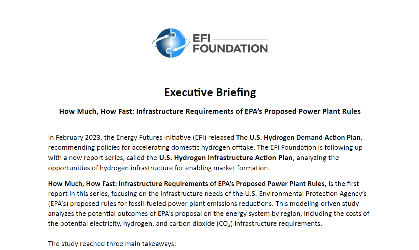 Photo of 2-page executive briefing for the EFI Foundation report, 