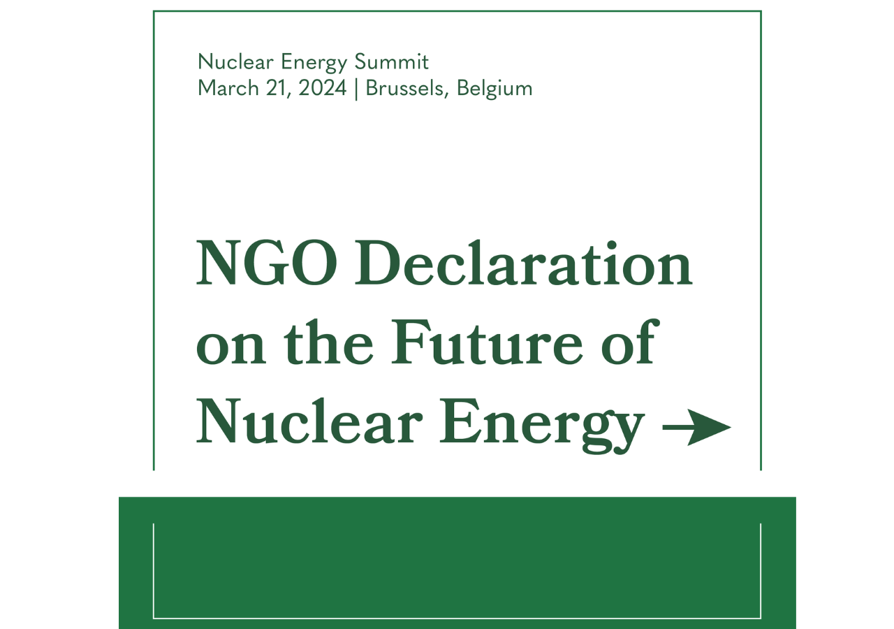 Graphic/social media design for NGO Declaration on the Future of Nuclear Energy.