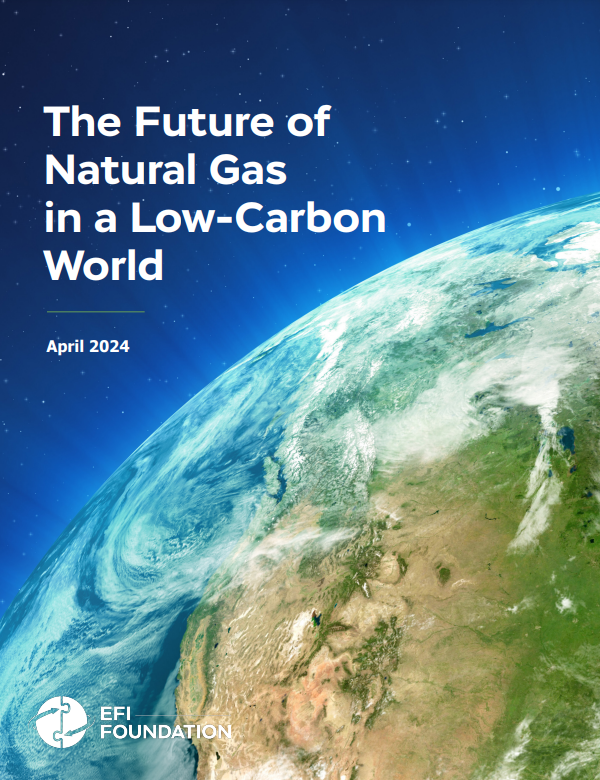 The cover of the April 2024 EFI Foundation report, 
